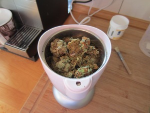 Abbildung 5: Cannabisblüten zur Zerkleinerung